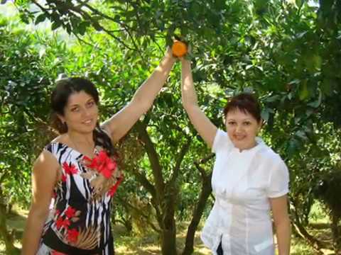 Село Аламбари ალამბარი Кобулетского района Кобулети Аджария Грузия