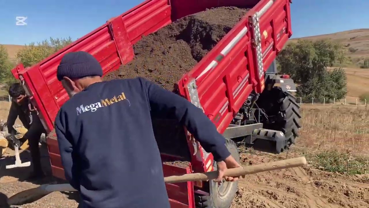 Hayvan gübresi %100 organik gübre nasıl yapılır