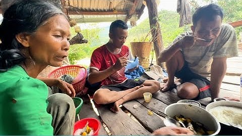 Săn bắt cá suối sau mùa mưa nước lũ lớn được bữa canh chua /Cuộc sống trên núi rừng Đại Ngàn