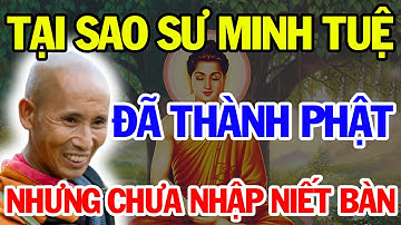 TIẾT LỘ BÍ MẬT ĐỘNG TRỜI tại sao sư minh tuệ đã THÀNH PHẬT NHƯNG chưa nhập niết bàn? Vạn Điều Hay