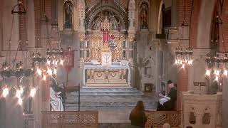 Corpus Christi Shrine - Live Stream