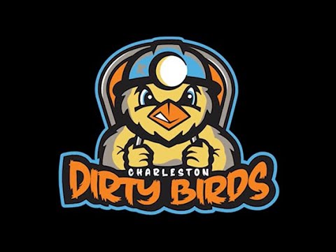 My Top 4 Favorite Charleston Dirty Birds Hats