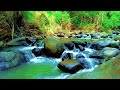 Tranquil River Flow 🌙 Relaxing Nature Sounds for Mind and Body