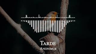 Anonimus  - Tarde