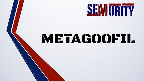 Metagoofil: Downloading and Analyzing Files