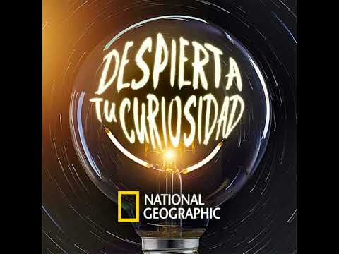 Los juicios de