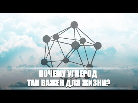 Видео: Почему углеродный цикл важен для жизни?