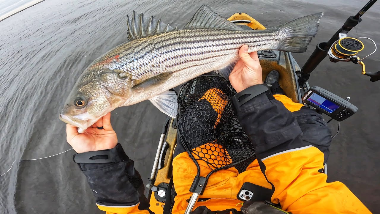 top-5-spring-striped-bass-lures-on-water-footage-youtube