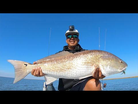 SIGHT FISHING a 40 INCH REDFISH