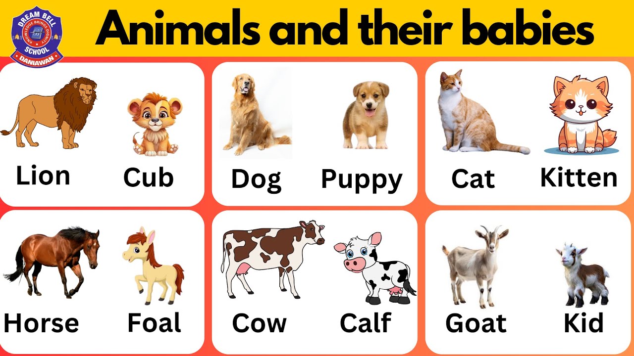Animals and their young ones || Animals and their babies Name ...