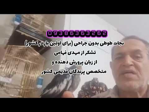 خوردن یا بلع بلعیدن قورت دادن رفتن کرمک شلنگ سرلاک طوطی سرلاکی به چینه دان سنگدان روده ی جوجه طوطی