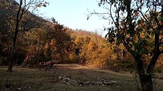 Parbat