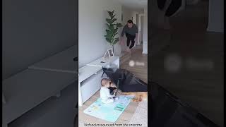 Download Lagu Phillies land All-Star closer Jhoan Duran ahead of MLB trade deadline 👀🔥 MP3