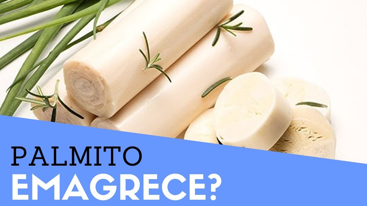 Palmito Emagrece Pode Comer Palmito Na Dieta Calorias Do Palmito palmito-emagrece-pode-comer-palmito-na-dieta-calorias-do-palmito
