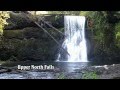 Trail of Ten Falls at Silver Falls State Park by Bob Nisbet