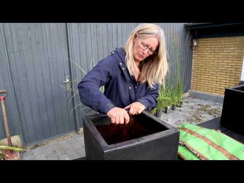 Video: Naturlig Gødning Til Blomsterbrug I Hjemmet. Del 3