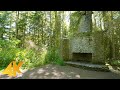 Sunny Day Hike through a Beautiful Forest - 4K Bullitt Fireplace Trail Walking Tour + Relaxing Music