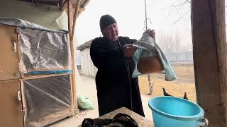 картинка: БЕДАНАГА НИМА БЕРСА САЙРАЙДИ...