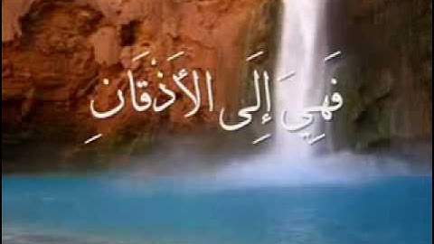 تلاوه من سورة يس -الحسن بن عبد الله  برعيه.flv