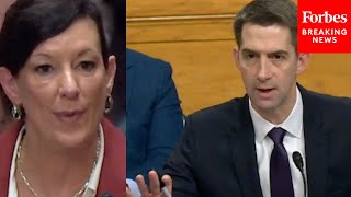 'Do You Have An Answer For That Today?': Tom Cotton Grills Federal Prisons Director