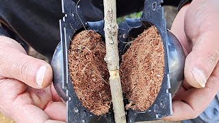 Plant Root Growing Box 2020— Environmental and Reusable