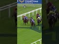 MUHAARAR ⭐️ July Cup Winner & QIPCO British Champions Sprint Stakes Hero