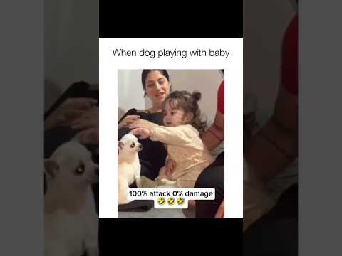 Dogs being idiots part 195: Dogs vs kids 🤣🐕 #funnydog #funnypet #cutedog #dog #pets #shorts
