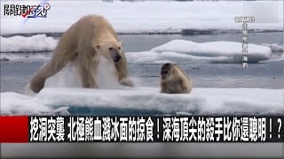 關鍵時刻 20161104 一刀未剪版