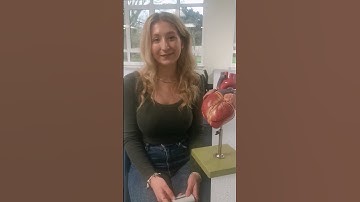 Biomedical Science Graduate - Cardiovascular Research