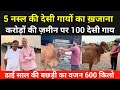  gir tharparkar sahiwal punganur kapila  richest farm in india  anna bharekar  pune 