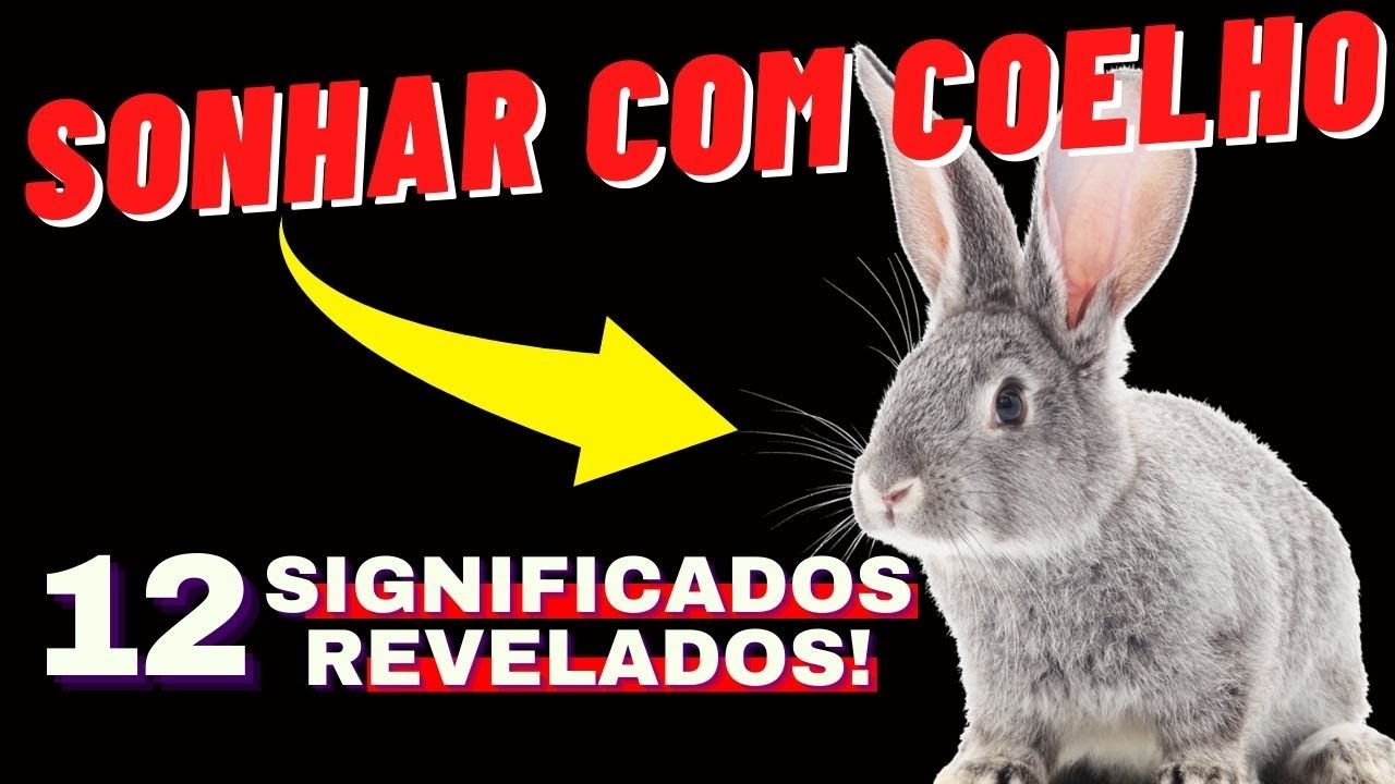 O que significa SONHAR COM COELHO? Sonho com coelho o que quer dizer? YouTube O que significa SONHAR COM COELHO? Sonho com coelho o que quer dizer? YouTube