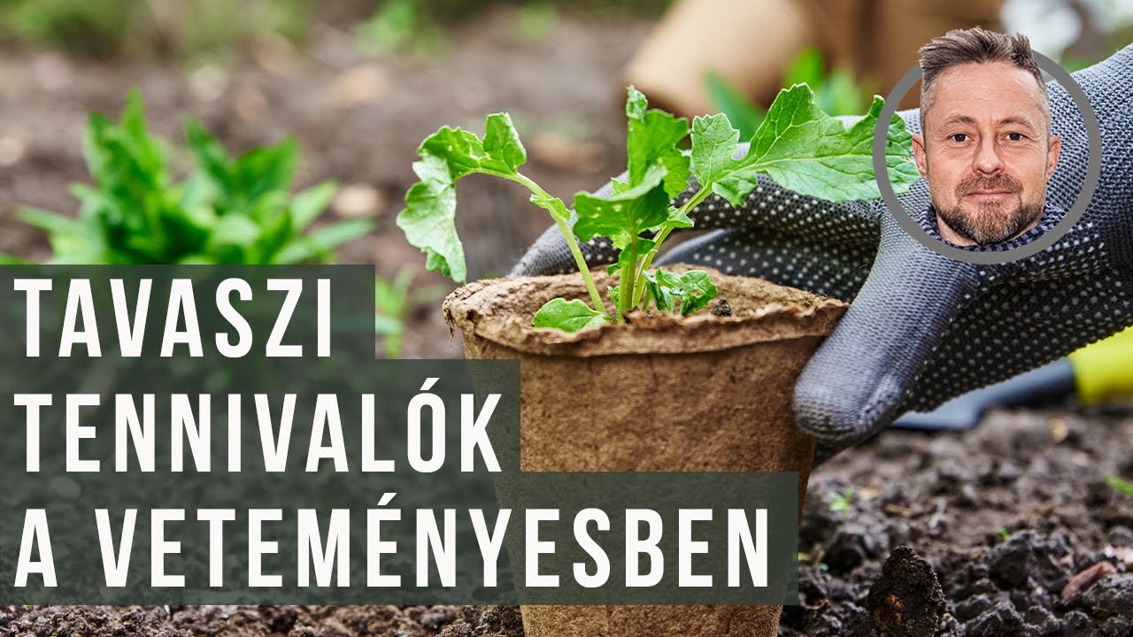 Tennivalók a veteményesben koratavasszal | kert TV
