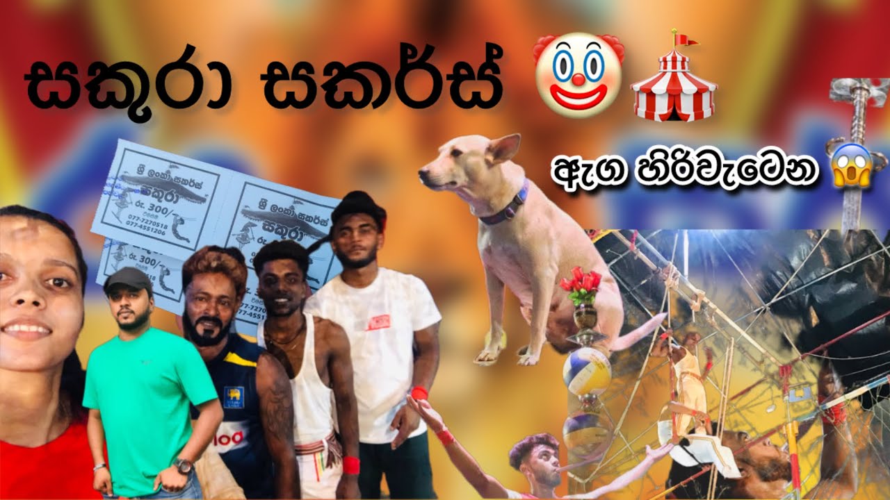 That Talent 👌 ඇග හිරිවැටෙන Sakura Circus Show 🤡🎪 Sri Lanka Circus #sakuracircus #madukasun