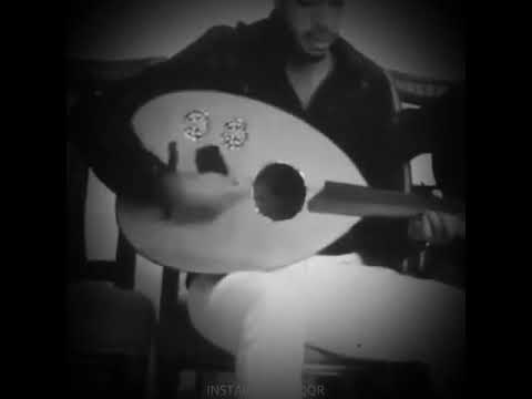 شكد أحبك يا أناني
