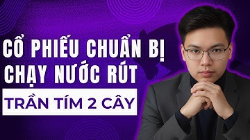 CHÚ Ý: CỔ PHIẾU CHUẨN BỊ CHẠY NƯỚC RÚT TRẦN TÍM 2 CÂY!