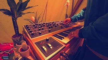 Finally Played a Moog One!...Cinematic & Atmospheric Sounds