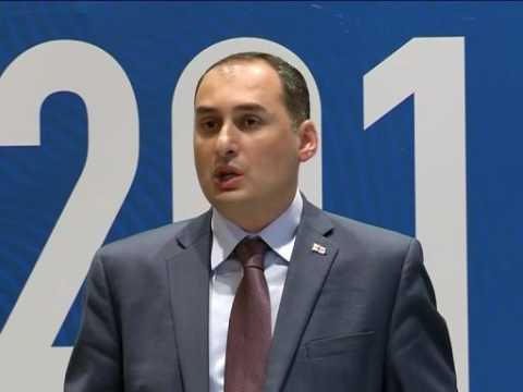 დიმიტრი ქუმსიშვილის ბრიფინგი