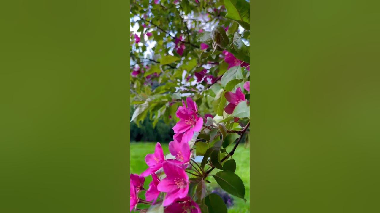 📍Акатов Монастырь,Воронеж - YouTube