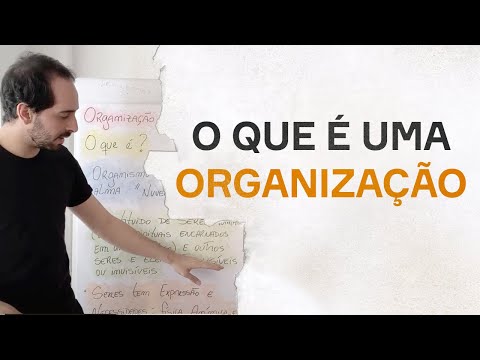 Vídeo: O Que é Uma Organização
