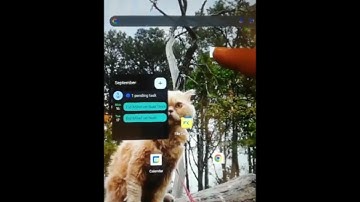 Pgc Parents app #pgc #tutorial #coding #code #tutorial 