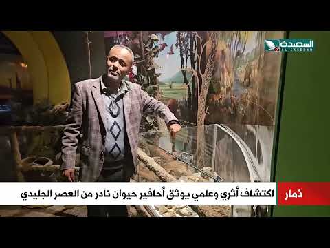 من العصر الجليدي... اكتشاف أثري وعلمي يوثيق أحافير حيوان نادر في ذمار