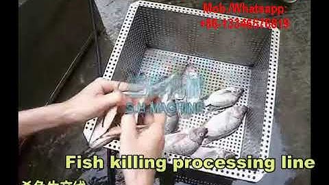 EQJ-1000 Tilapia fish processing line