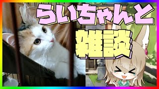 【猫配信】らいちゃんと一緒に雑談！たくさんお話ししましょっ【新人Vtuber】