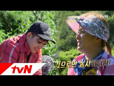 나래에게 딱 들킨 입(?)농부 태웅이 ㅋㅋㅋㅋ 풀 뜯어먹는 소리-가을편 2화