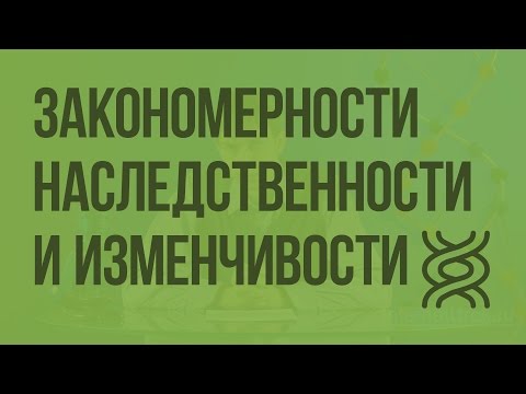 Закономерности наследственности и изменчивости. Видеоурок по биологии 10 класс