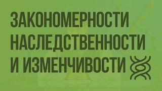 Закономерности наследственности и изменчивости. Видеоурок по биологии 10 класс