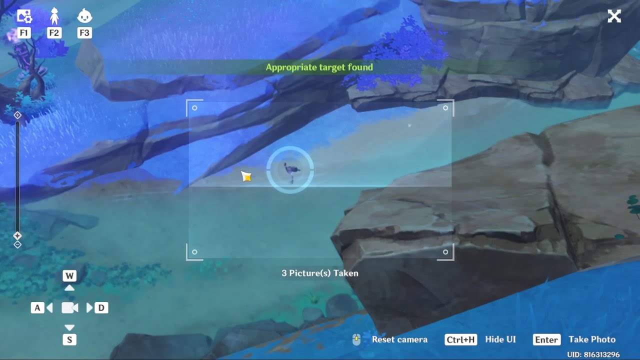 Prepare 4 Photos of Inazuma Regional Animals Related to The Theme