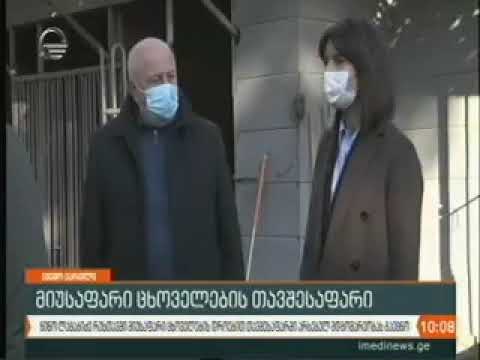 რუსთავში მიუსაფარ ცხოველთა მოვლისა და მათი პოპულაციის მართვის ახალ მიდგომებზე მუშაობა მიმდინარეობს