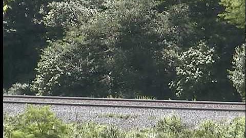 NS sd40-2 #3340 with leaky, but nice horn!