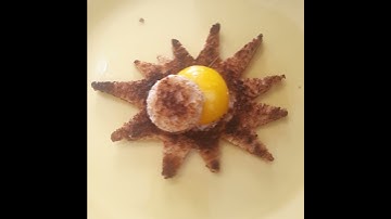 Total Eggclipse || ViralHog